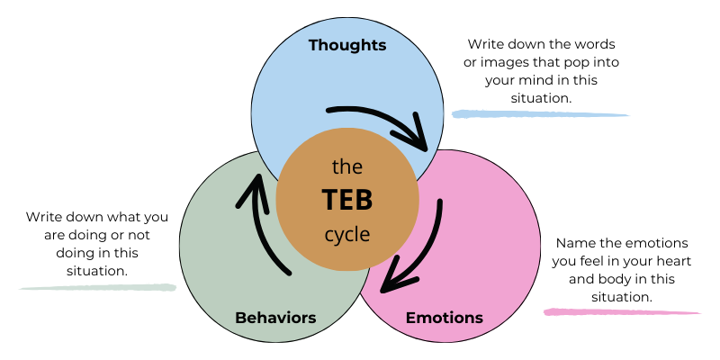 useful tool within CBT is the TEB Cycle, which illustrates how Thoughts, Emotions, and Behaviors are interconnected.